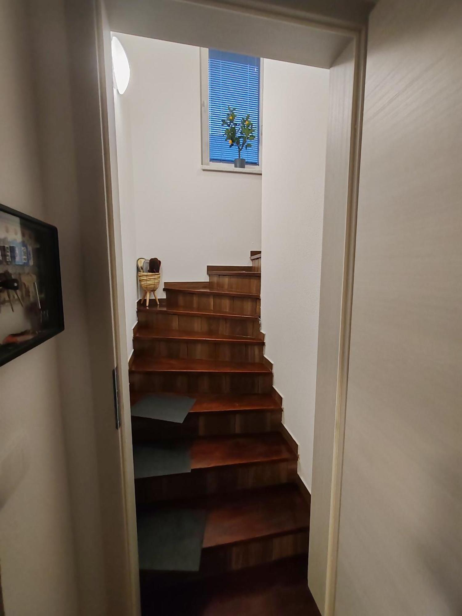 Apartments Malivojevic Zirovnica Εξωτερικό φωτογραφία